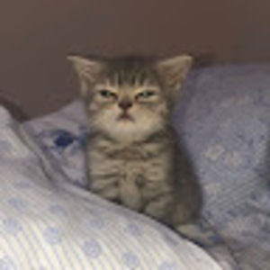 Meet your Posher, Kristina